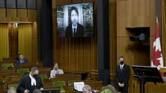كان التصويت حضوريًّا بالنسبة للبعض وافتراضيًّا بالنسبة للآخرين بسبب جائحة كوفيد 19 - Justin Tang / The Canadian Press