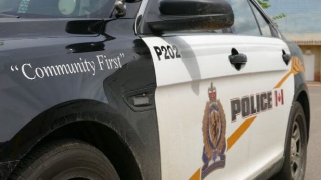 تلقت مصالح شرطة براندون مكالمات عديدة من مواطنين تفيد بوجود بقرة شرق المدينة - Riley Laychuk / CBC