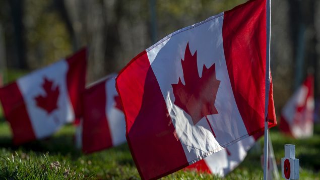 أعلام كندا في حديقة الذكرى في دارتموث في مقاطعة نوفا سكوشا في 10-11-2020/Andrew Vaughan/CP