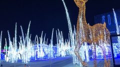 حيوان الرّنة وبيوت الثلج في قرية القطب الشمالي في مهرجان الأضواء في مدينة لافال/ راديو كندا الدولي