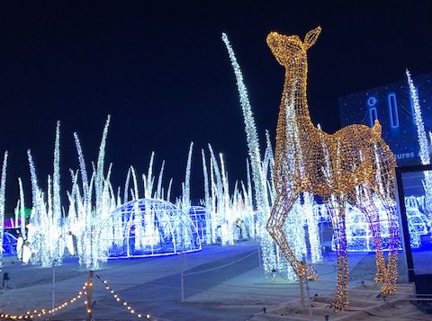 حيوان الرّنة وبيوت الثلج في قرية القطب الشمالي في مهرجان الأضواء في مدينة لافال/ راديو كندا الدولي