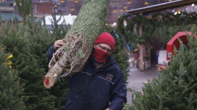أقبل الكنديّون في وقت مبكّر على شراء الزينة وأشجار الميلاد هذه السنة/Paul Chiasson/CP