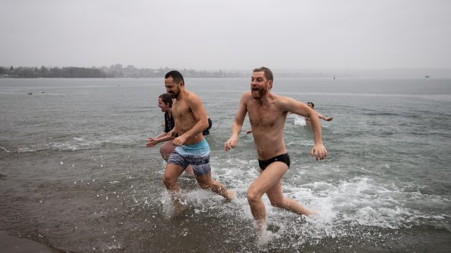 هواة سباحة الدبّ القطبي يمارسون رياضتهم مطلع العام الجديد /Darryl Dyck/CP