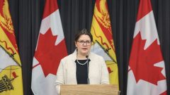 د. جنيفر راسل رئيسة الخدمات الطبيّة في نيو برنزويك/Government of New Brunswick