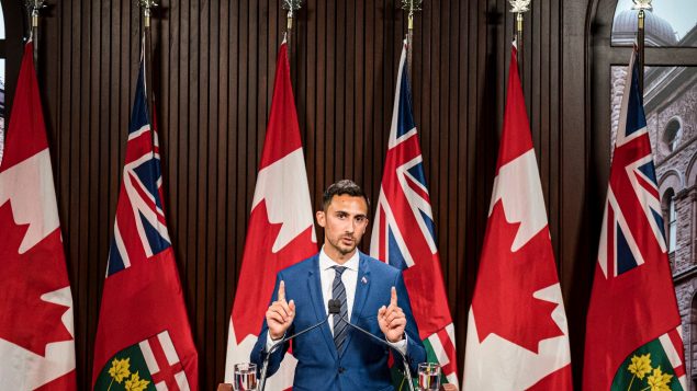 ستيفن ليتشيه وزير التربية في أونتاريو /Christopher Katsarov/The canadian Presseش