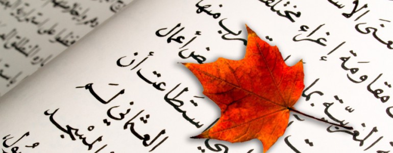 Canadians of Arab Origin – Who are they?