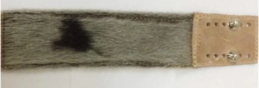 brazalete-inuk-635×357