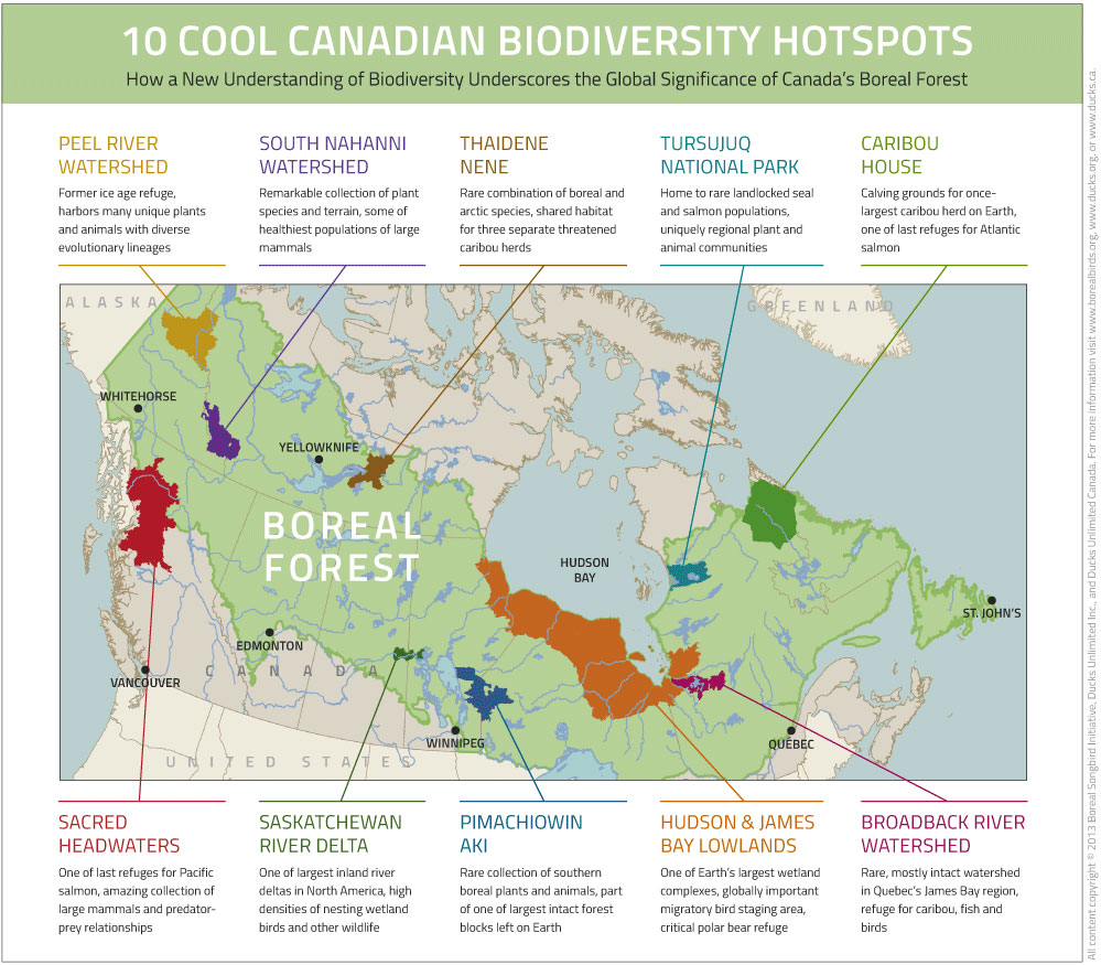 10 Cool Canadian Biodiversity Hotspots: Several of Canada's northern regions made the list. (Boreal Songbird Initiative, Ducks Unlimited Canada, Ducks Unlimited) 