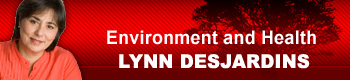 column-banner-lynn