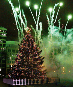 Thousands in Boston attend the annual lighting of the Christmas trees donated by the Canadian province of Nova Scotia. (Photo: Elise Amendola/AP)