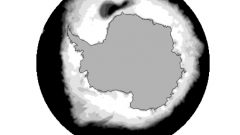 Sea ice (white) surrounds Antarctica in this image based on satellite data from 1974-1976. The dark area in the upper part of the image shows the extent of the Weddell Sea polynya-the siaze of New Zealand- during the polar winters of those years. Climate change appears to have cut off the flow of this enormous deep ocean current and mixing of upper and deep ocean layers (Casimir de Lavergne; NSIDC)