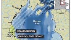 Pew Charitable Trust; Oceans north