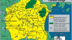 Map showing range of the Beverly and Qamanirjuaq caribou herds and their summer calving areas. The BQCMB says rapid development will be devastating to the herds and to subsistence hunters. (BQCMB) CLICK to enlarge