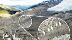 Photo showing the Castle Creek glacier retreating up the mountain-side. A unique feature is that it leaves small morraines showing the retreat each year, something like tree rings showing growth. (photo; UNBC) CLICK to enlarge