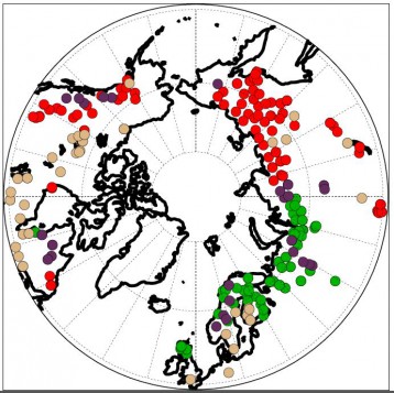 A recent study gathered data on tree rings from across the Arctic. In this figure, green and purple dots indicate cloudiness that is cloudier than the average Arctic station. The red and purple dots indicate temperatures that are colder than the average Arctic station during the growing season. (Courtesy Zan Stine)