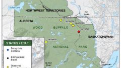 Fires currently burning in Wood Buffalo National Park. (Parks Canada) CLICK to enlrage