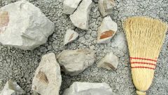 Some of the fossilized leaves as uncovered at the ancient river channel (courtesy Larsson McGill-Redpath) CLICK to enlarge