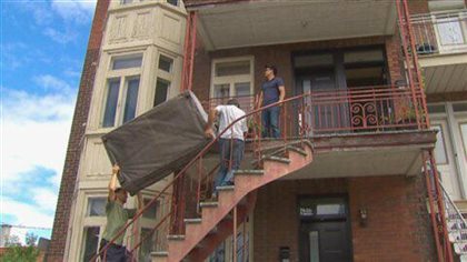 The animal tragedy of “moving day” in Quebec – RCI | English