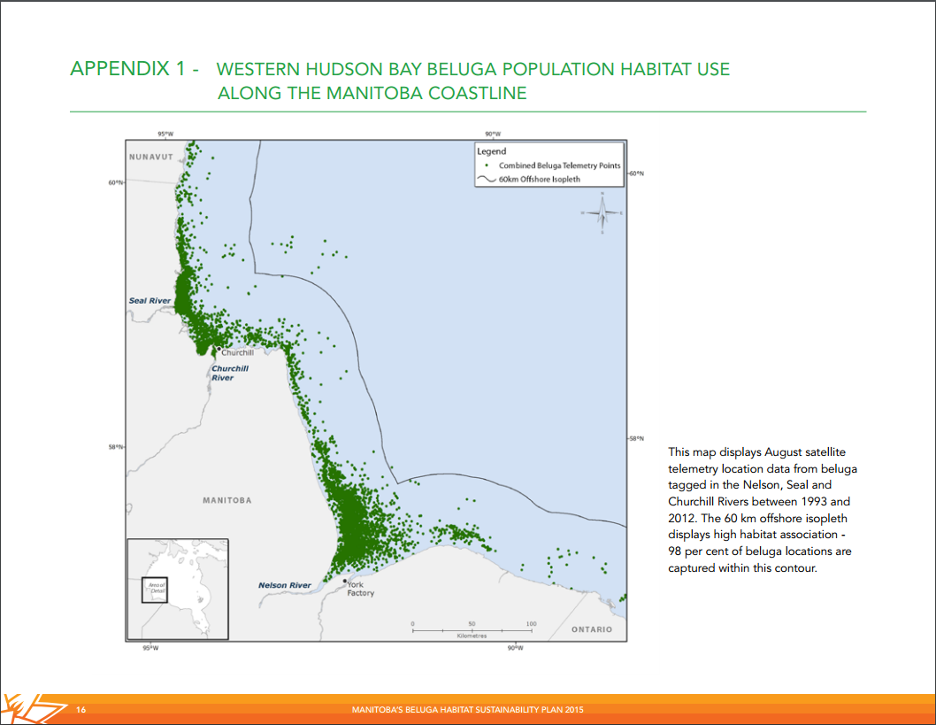 beluga map hudson bay