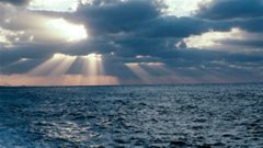 160719_c676f_rci-m-ocean-pic_sn635 (1)