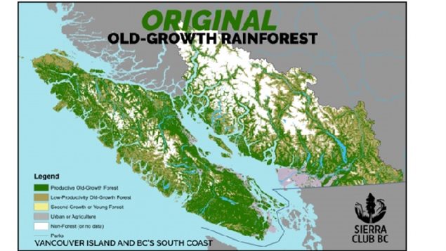 Old-growth forest experts release map urging B.C. to act quickly on logging  deferrals