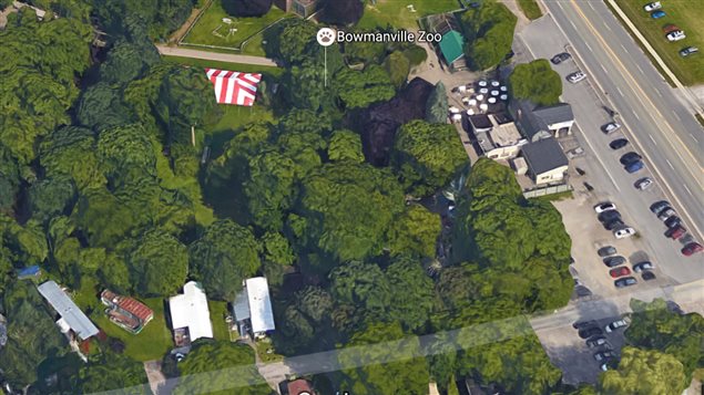 Scandal leads to zoo closing – RCI | English