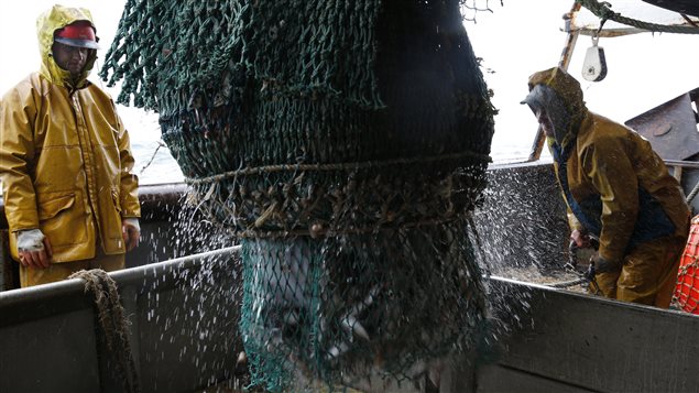 Canada ratifies international moratorium on commercial fishing in