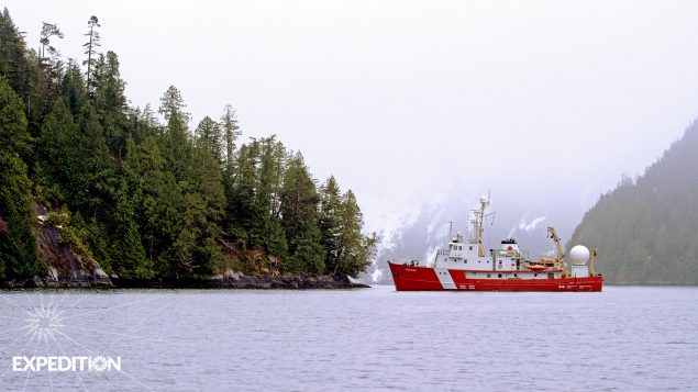 Ship in beautiful seascape.