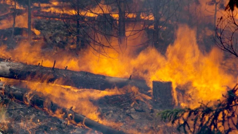No letup in battle against Ontario forest fires. - RCI ...