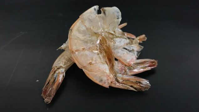 This Plastic Is Made Of Shrimp Shells