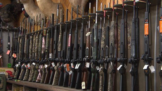 30 years after Polytechnique massacre Canada’s gun debate rages on