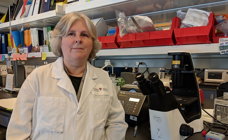 McGill University professor Nicole Bernard (PhD) is also a scientific researcher at the Research Institute-McGill University Health Centre (MUHC)