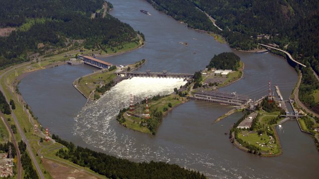 Bc Indigenous Groups Get A Say In Columbia River Treaty Renegotiation