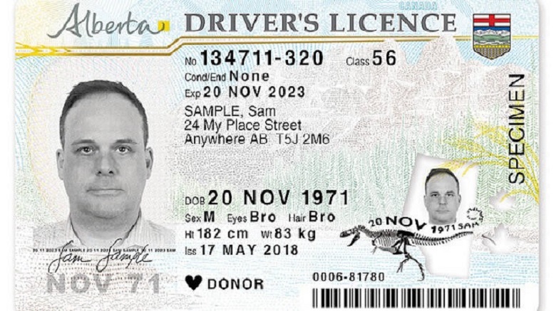 Organ donor? No traffic ticket – RCI | English