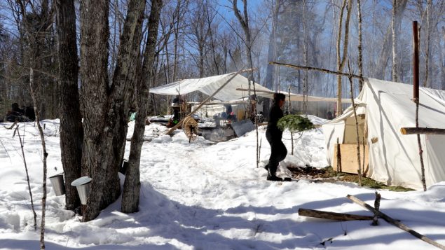Atikamekw maple syrup: an ancestral tradition passed on with passion