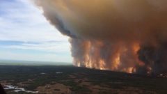 The fire known as the Chuckegg Creek fire is seen from the air in a Government of Alberta handout photo taken near the town of High Level, Alta., Sun. May 19. (Gov't of Alberta-via Canadian Press)