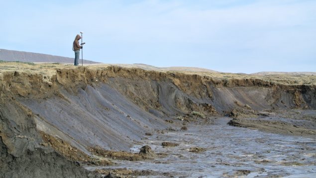 McGill researchers have been studying the high Arctic polar deserts for close to 30 years, mapping the landscape within the Eureka Sound Lowlands, Ellesmere and Axel Heiberg Islands.