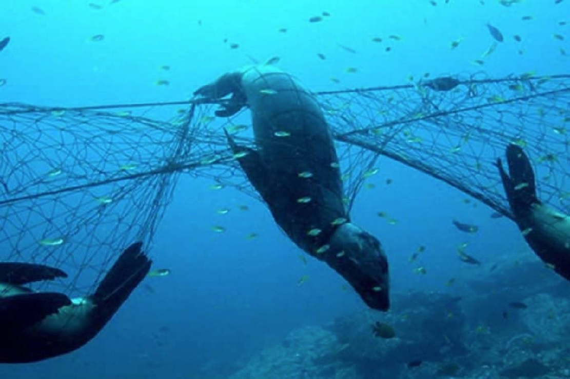 Multi-million dollar Canadian effort launched to clean oceans of