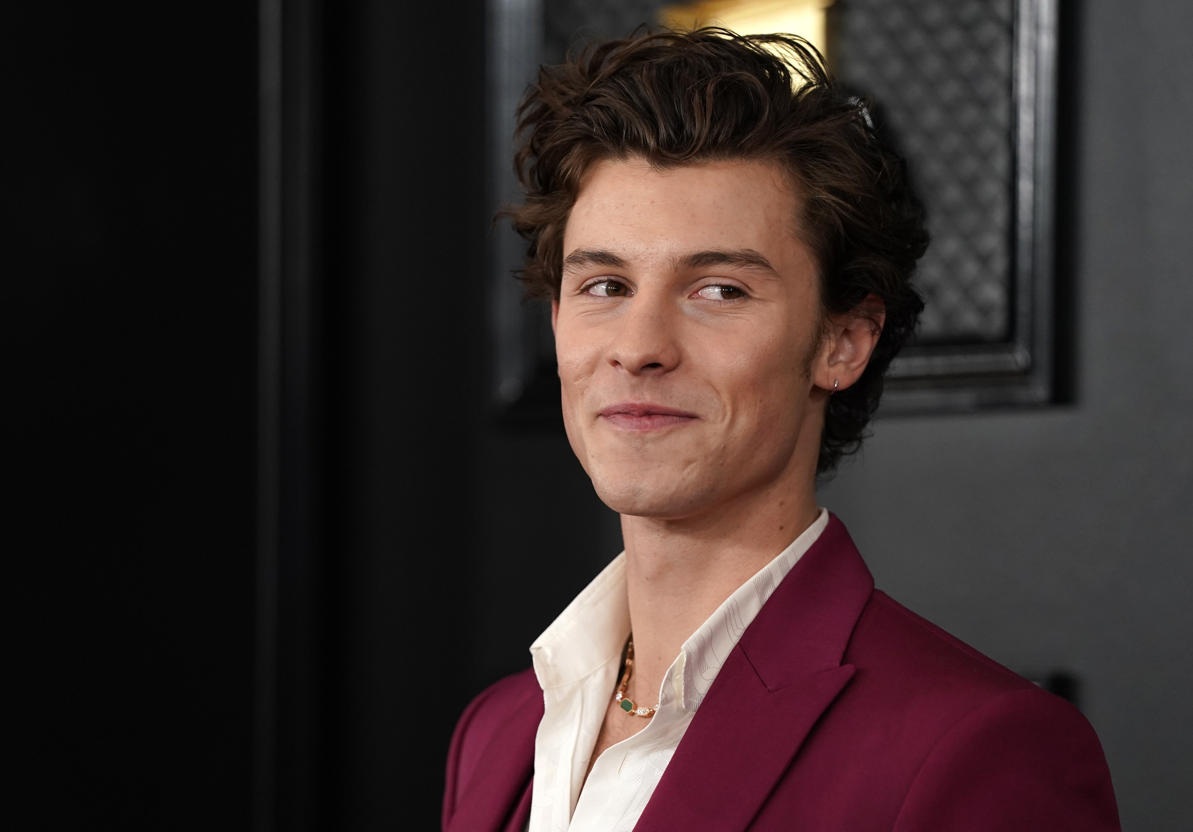 Canadian Pop Star Shawn Mendes Wins Five Socan Awards And Breaks A New Record Rci English