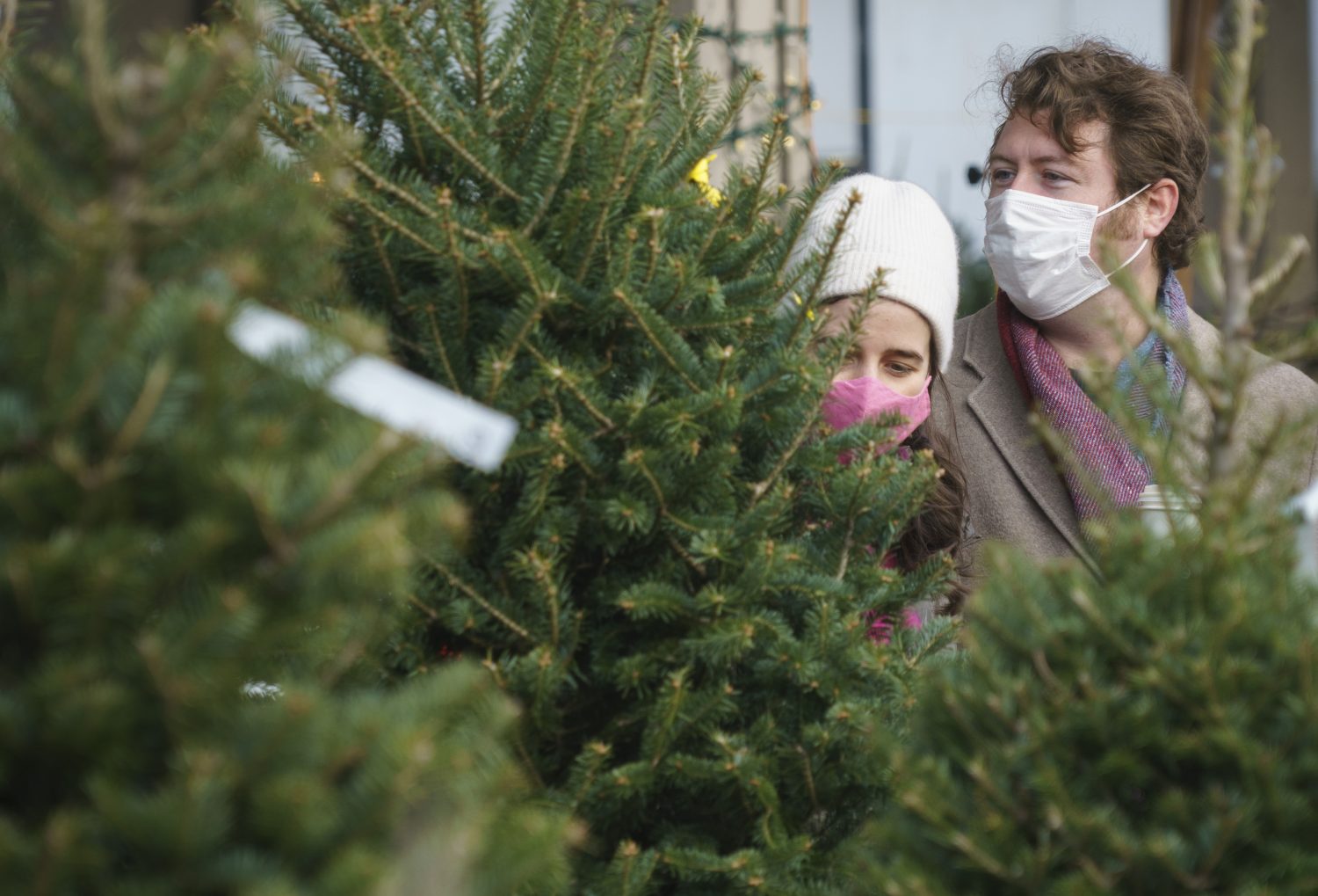 A couple shops for a Christmas tree at a farmers market in Montreal RCI English