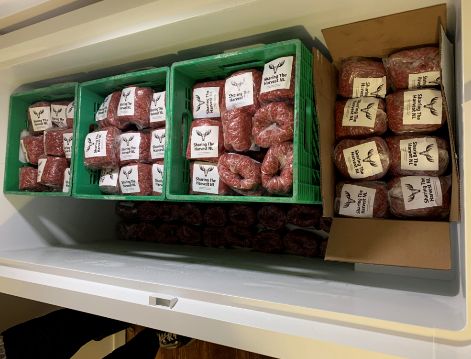 Hunters donate moose meat to food banks in Newfoundland RCI English