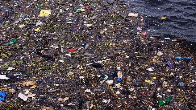 Network formed to tackle plastic pollution – RCI