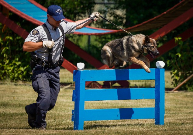 Rcmp Puppy Naming Contest Begins Rci English