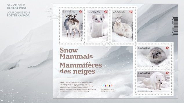 New stamps feature Canadian animals that turn white in winter – RCI |  English