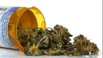 130326_pe20d_rci-marijuana-medicale_sn635