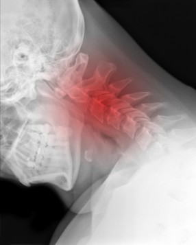 iStockPhoto.com