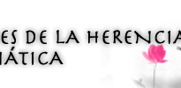 Teas_AHM-ES-11