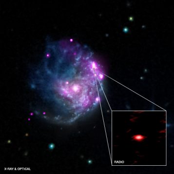 Agujero negro de masa intermedia descubierto el año pasado por Mar Mezcua.