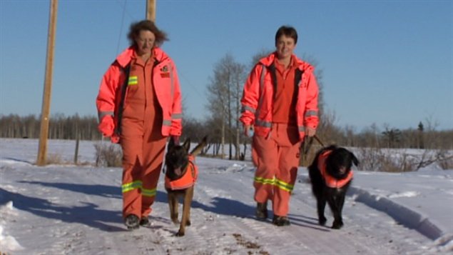 Perros de rescate de Canadá y sus entrenadores van a Filipinas