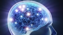 151019_4z1pf_cerveau-humain-alzheimer_sn635